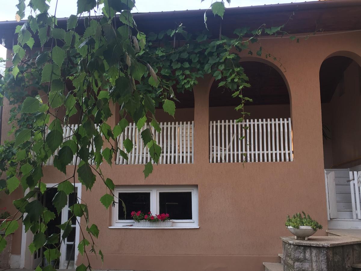 Apartment Private House Berehowe